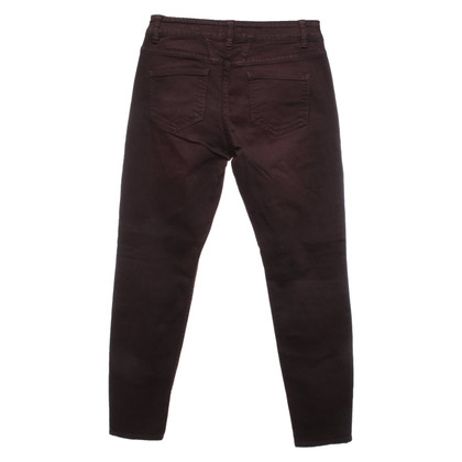 Closed Jeans in Cotone in Bordeaux