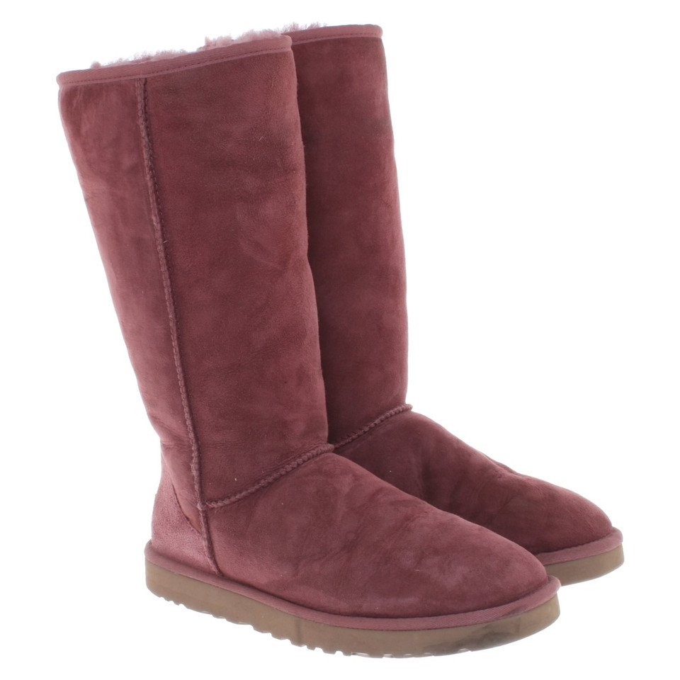 Ugg Boots in Fuchsia