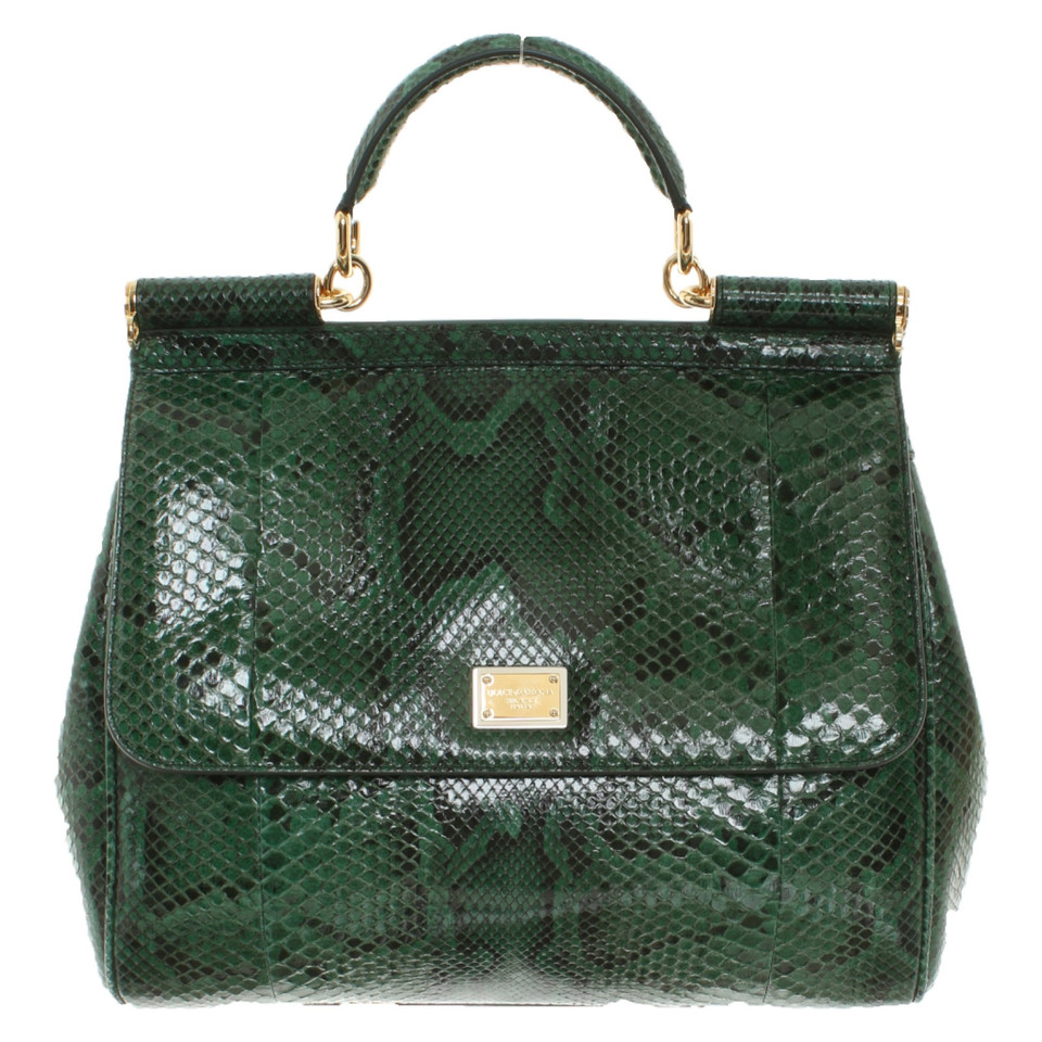 Dolce & Gabbana Sac à main en Cuir en Vert