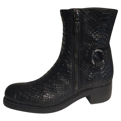 Rocco P. Ankle boots in Black