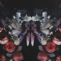 Givenchy Rok met bloemenprint