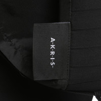 Akris Skirt in Black