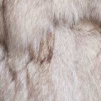 Andere merken Just Female - vest vossenbont
