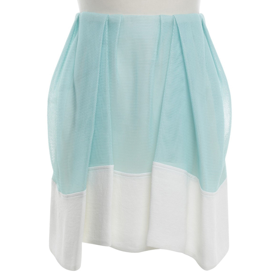 3.1 Phillip Lim rok in tweekleur