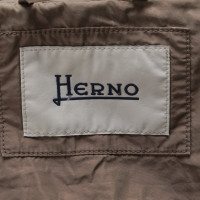 Herno Trenchcoat in bruin