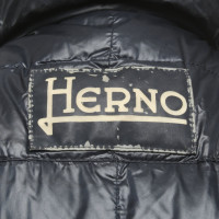 Herno Jacket/Coat in Blue