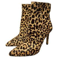 Steve Madden Bottines en Ocre