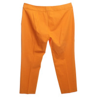 Rena Lange Pantaloni in arancione