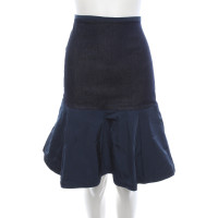 Coast Weber Ahaus Skirt in Blue