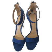 Gianvito Rossi Wedges Suede in Blue