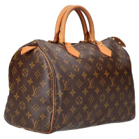 Louis Vuitton Speedy 30 in Bruin