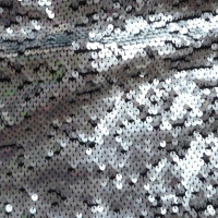 D&G silver sequined skirt