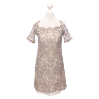 D. Exterior Dress in Taupe