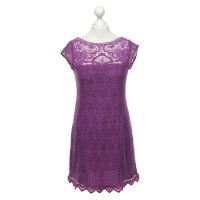 Nanette Lepore Kleid in Violett