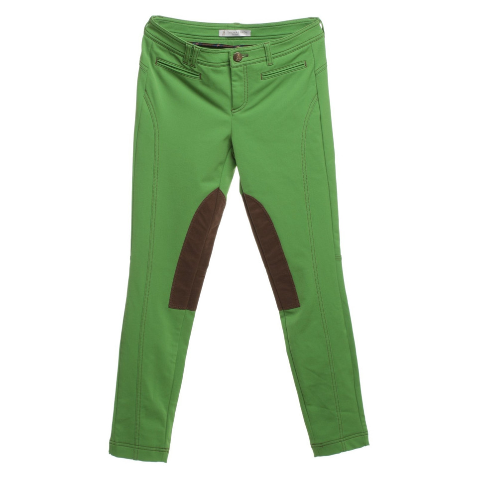 Thomas Rath Pantalon en vert / marron