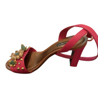 Dolce & Gabbana Sandalen in Rosa / Pink