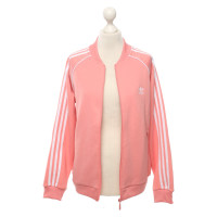 Adidas Giacca/Cappotto in Rosa