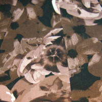 Reiss Robe avec un motif floral