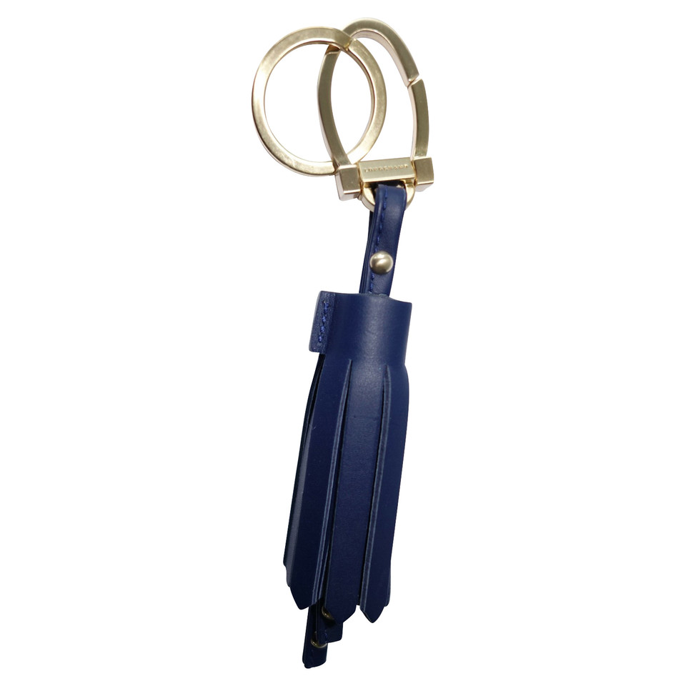 Longchamp Accessori in Pelle in Blu