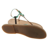 Closed Sandals in Black / Green