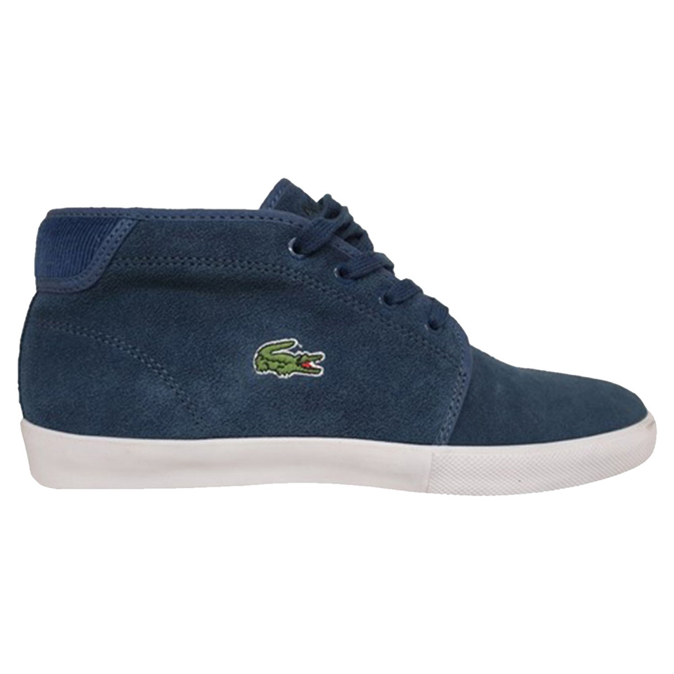 Lacoste Ankle boots Suede in Petrol