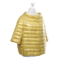 Herno Giacca/Cappotto in Giallo