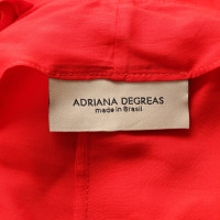 Adriana Degreas Dress in Red