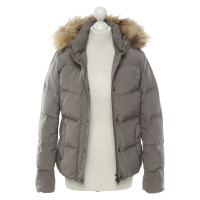 Woolrich Giacca/Cappotto in Talpa