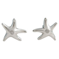 Tiffany & Co. Earring Silver