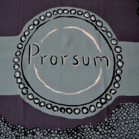 Burberry Prorsum Silk scarf with pattern