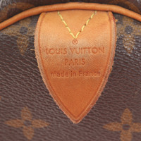 Louis Vuitton Speedy 30 Canvas