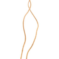 Tamara Comolli  Chain with pendant