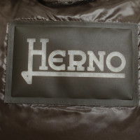 Herno Olive jacket