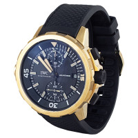 Iwc Watch in Gold