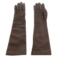 Dolce & Gabbana Gloves in brown / silver