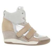 Ash Wedges in tricolor
