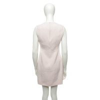Whistles Dress in Pink