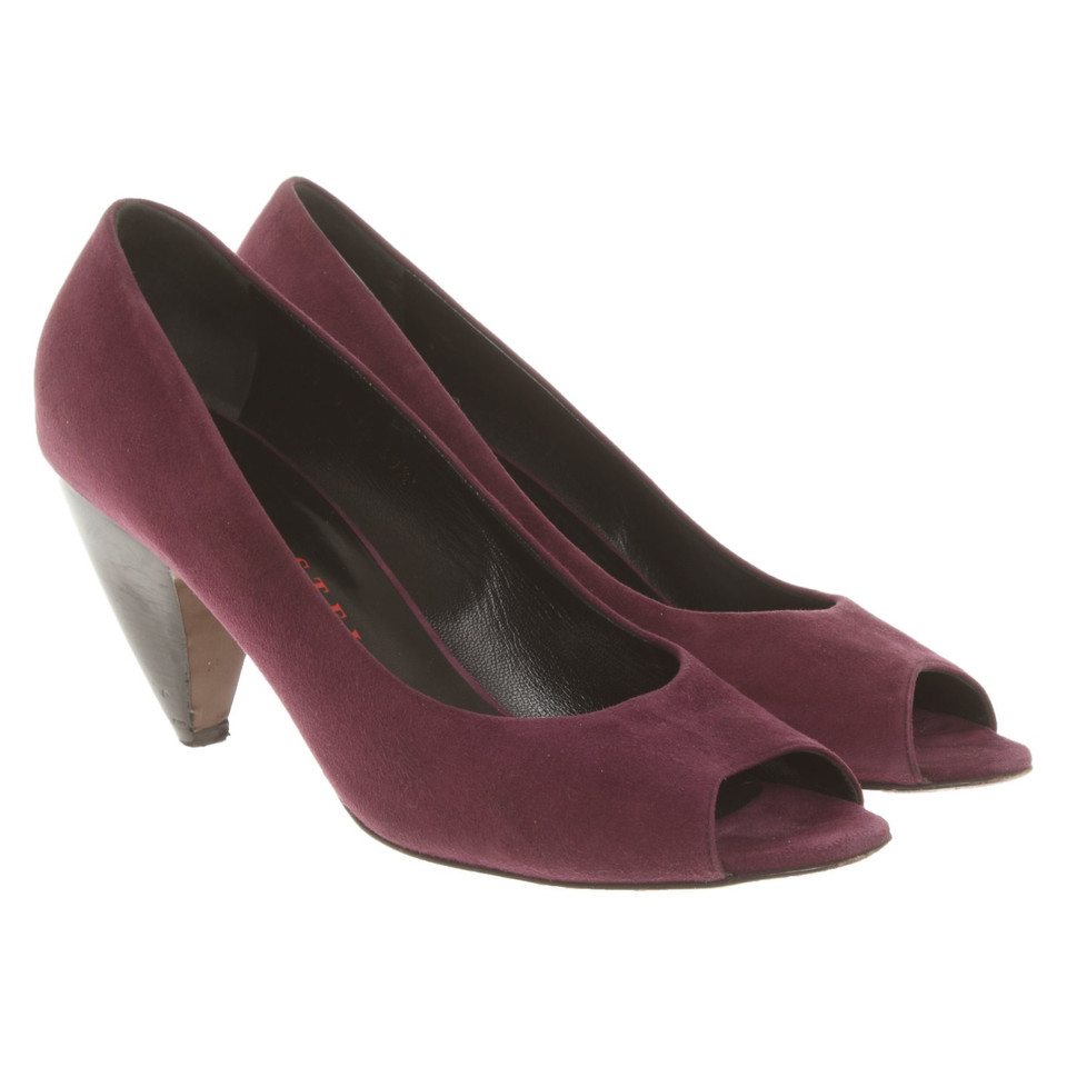 Walter Steiger Pumps/Peeptoes Suède in Violet