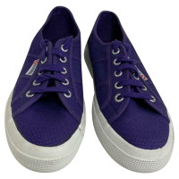 Superga Trainers in Violet