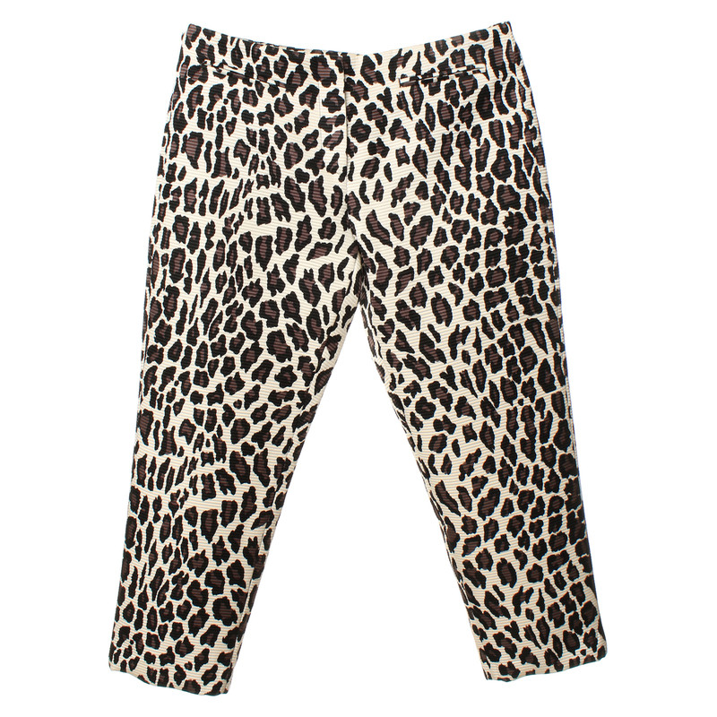 Msgm Hose mit Animalprint