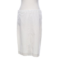 Loro Piana Skirt Cotton in Beige