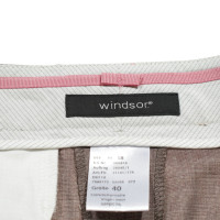 Windsor Hose aus Wolle in Braun