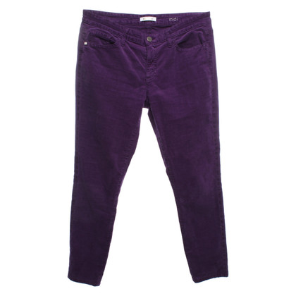 Rich & Royal Trousers in Violet