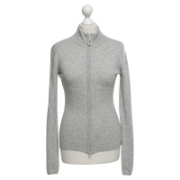 Ftc Cashmere Trui in Gray