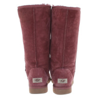 Ugg Boots in Fuchsia