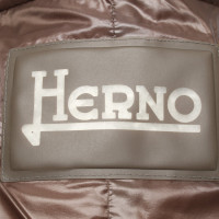 Herno Jacket/Coat in Taupe