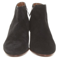 Sam Edelman Ankle boots Suede in Black