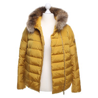 Peuterey Jacket/Coat in Yellow