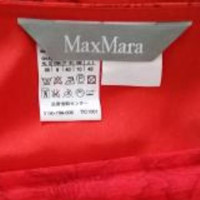 Max Mara rots