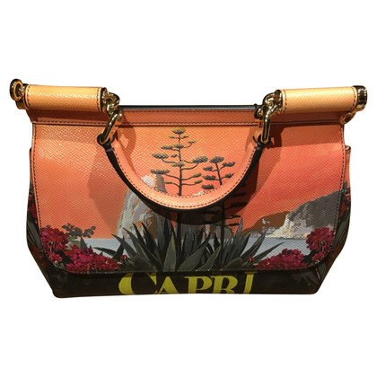 Dolce & Gabbana Capri en cuir rose Bag Sicili